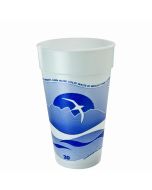 CUP FOAM 20 OZ HORIZON  500/CS